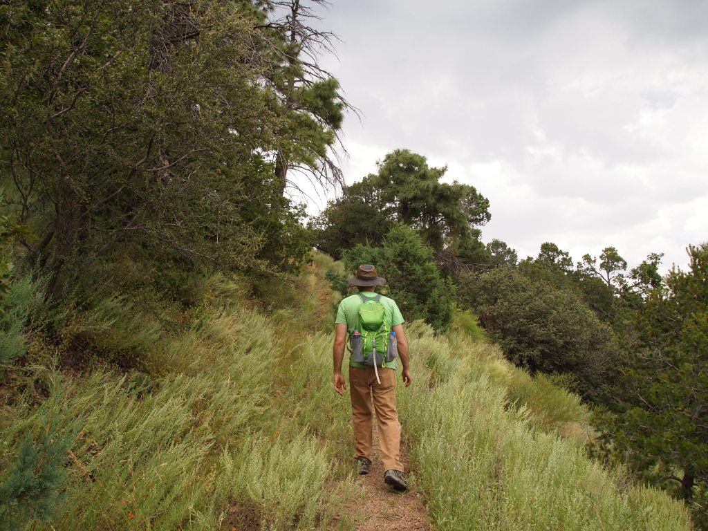 Tall grasses lined the path as we climbed higher