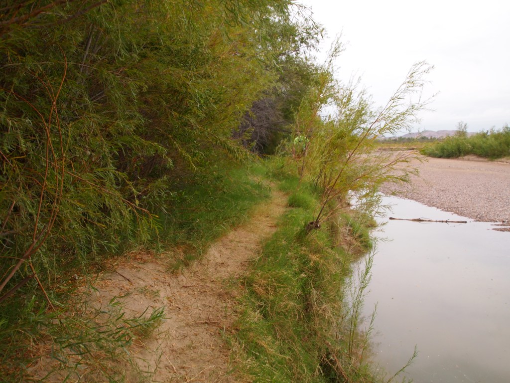 Following the path to the trail