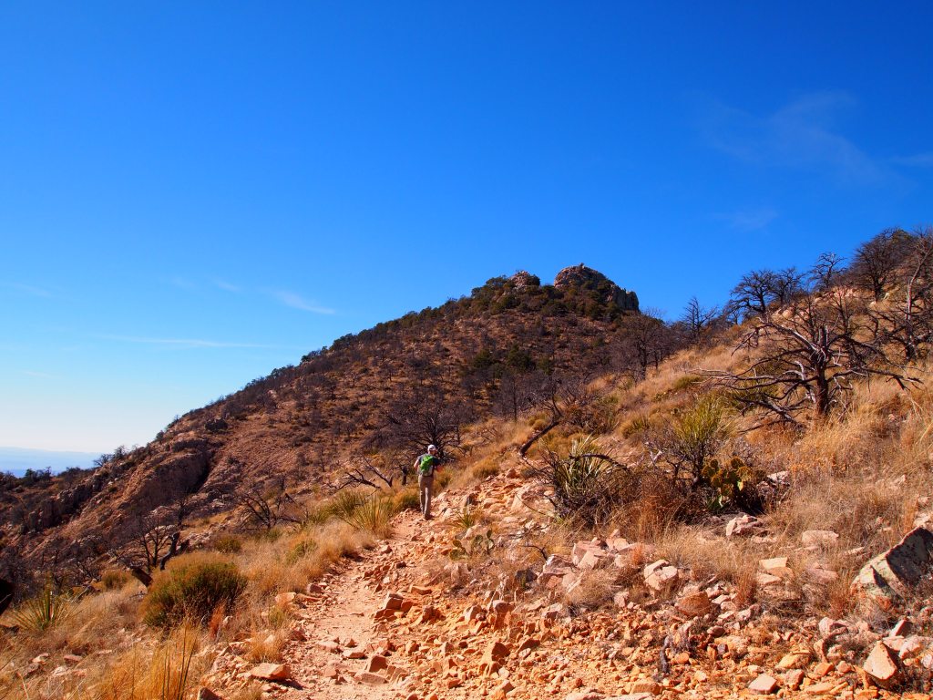 Ugh, rocks everywhere!