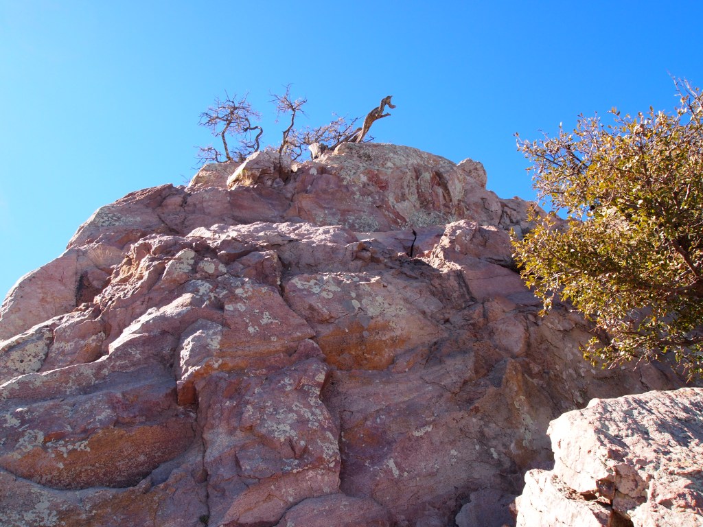 We climbed straight up because we're dumb