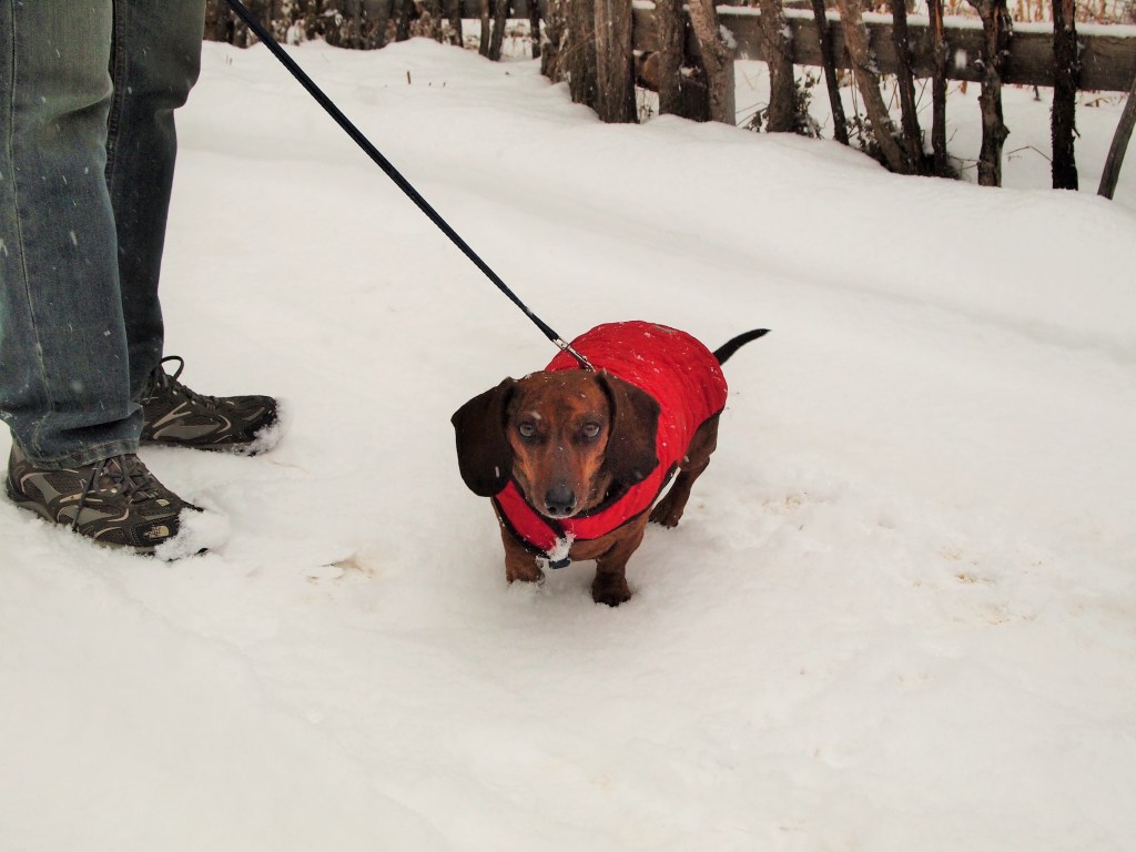 Not quite sure why the ground is so wet