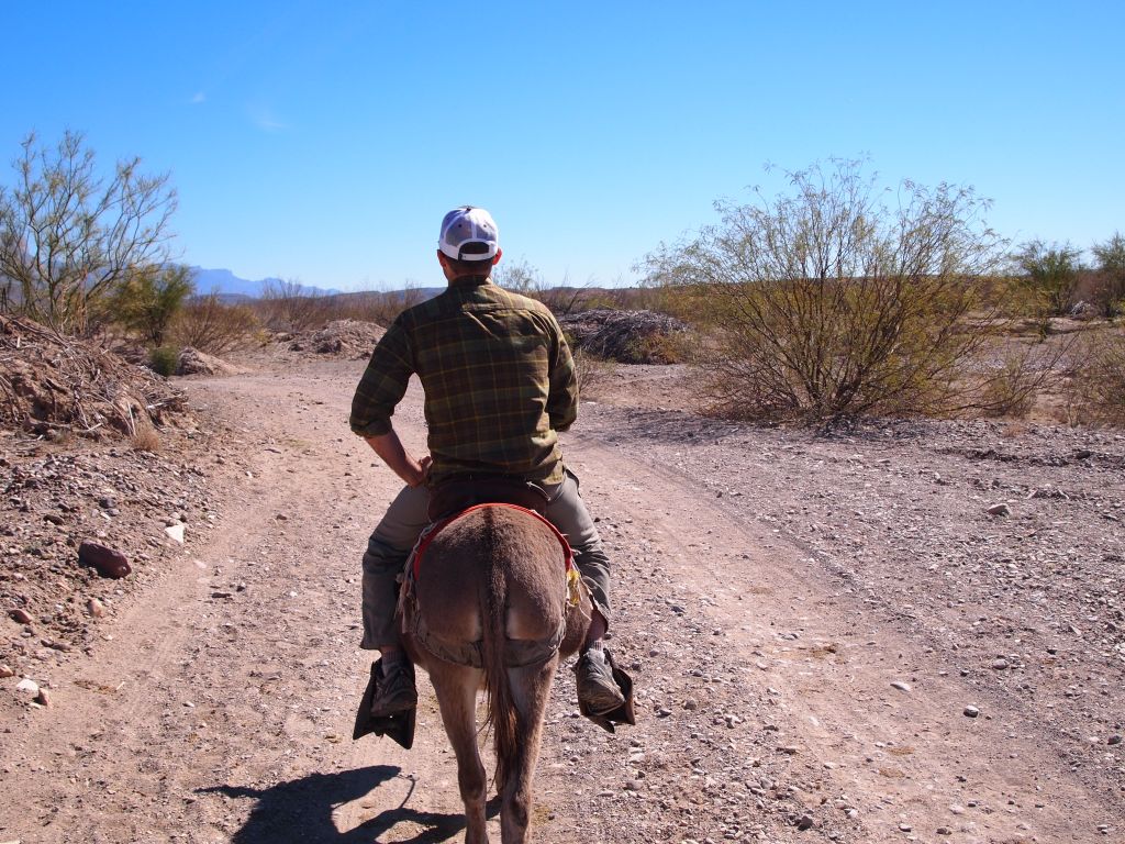 What a great view for me!