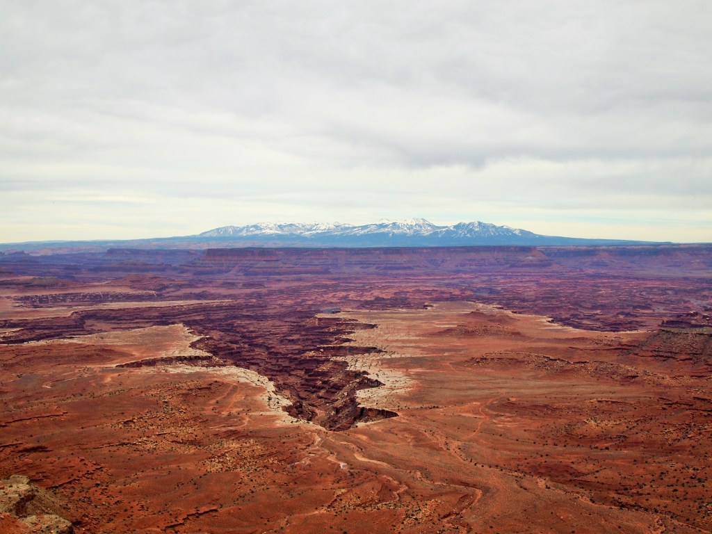 Buck Canyon Overlook & La Sal Mountains in the background