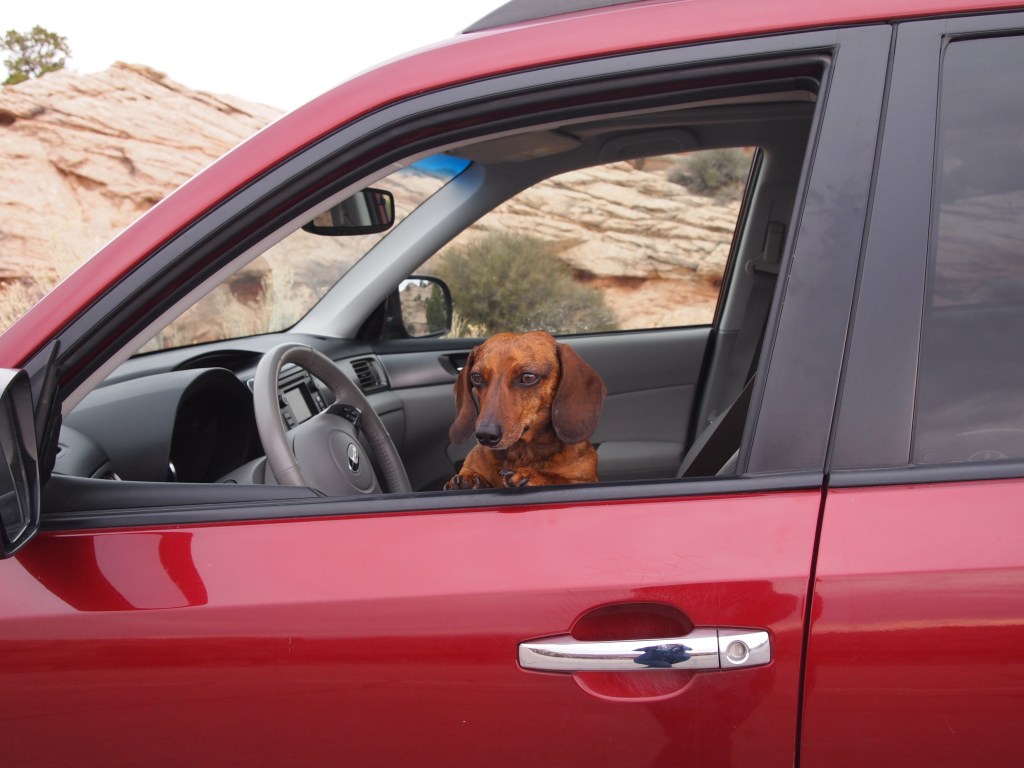 This is how Truman toured the park