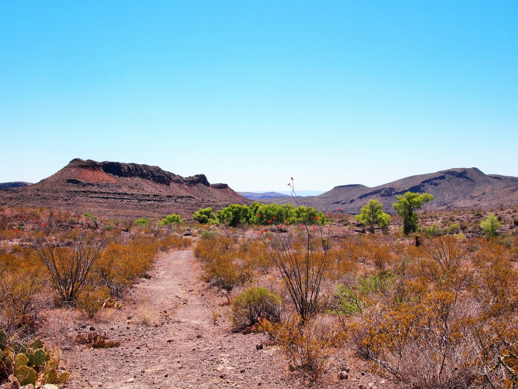 The spectacularly green trees hint at the nearby springs