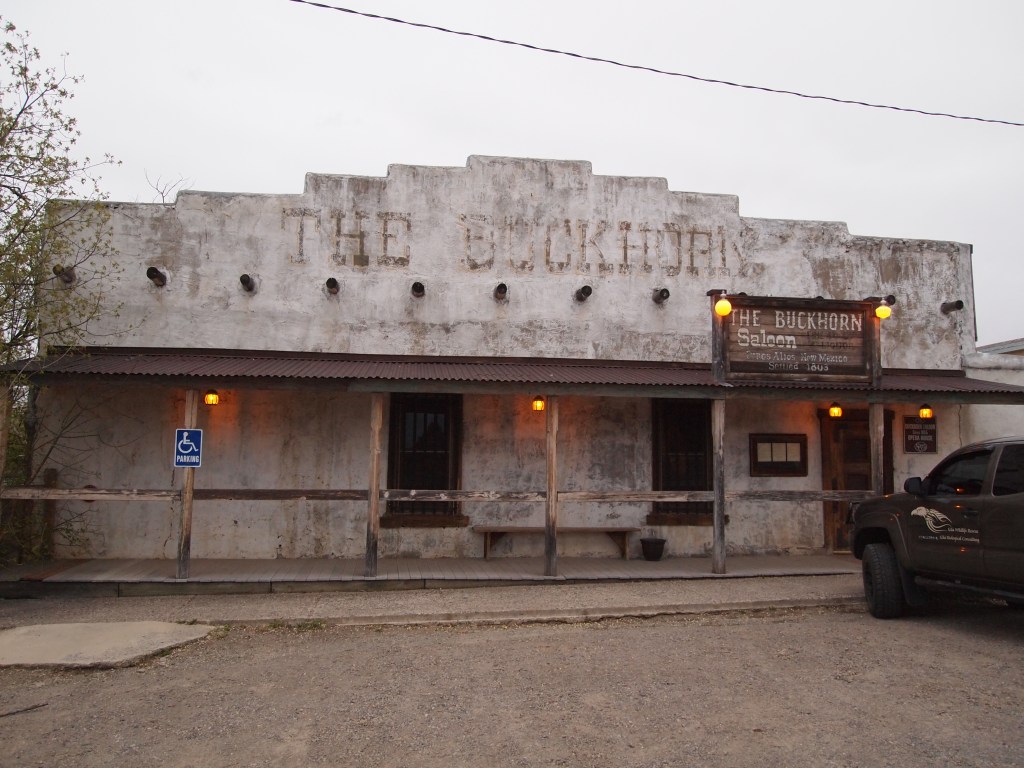 Buckhorn Saloon 