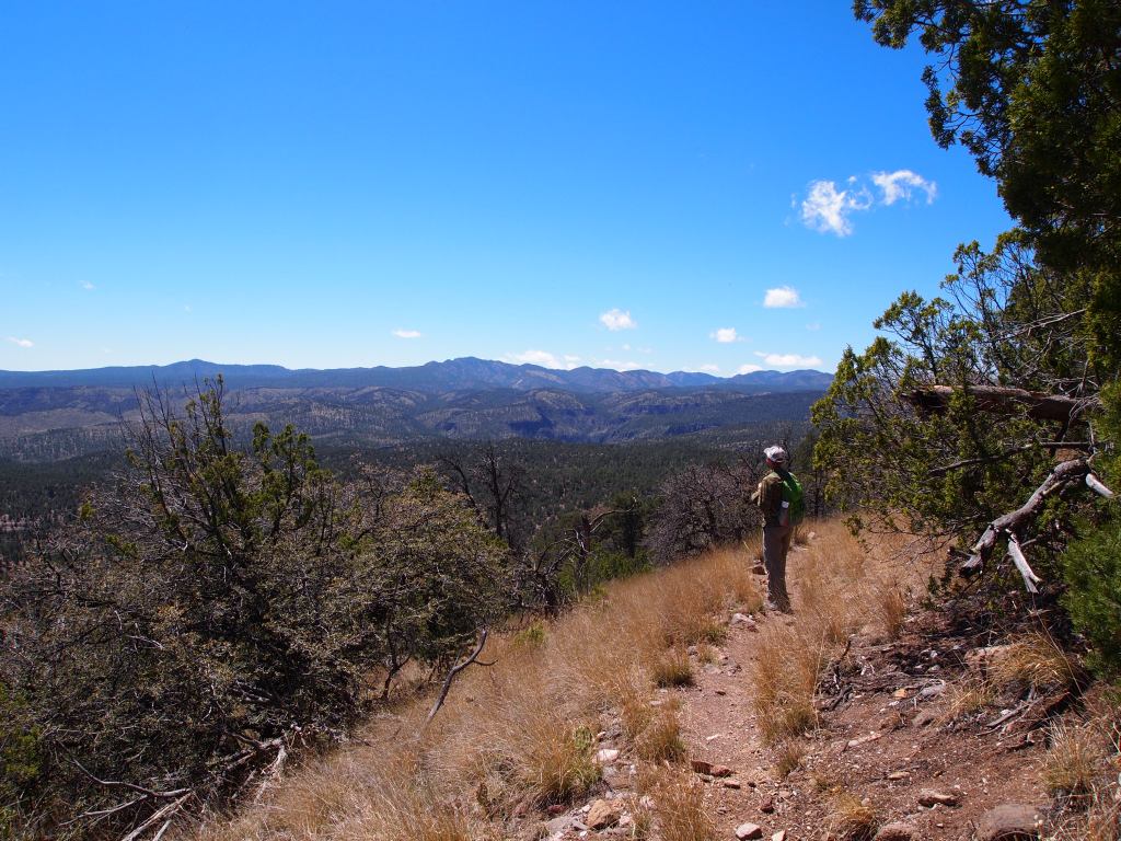 Overlooking the West Fork valley