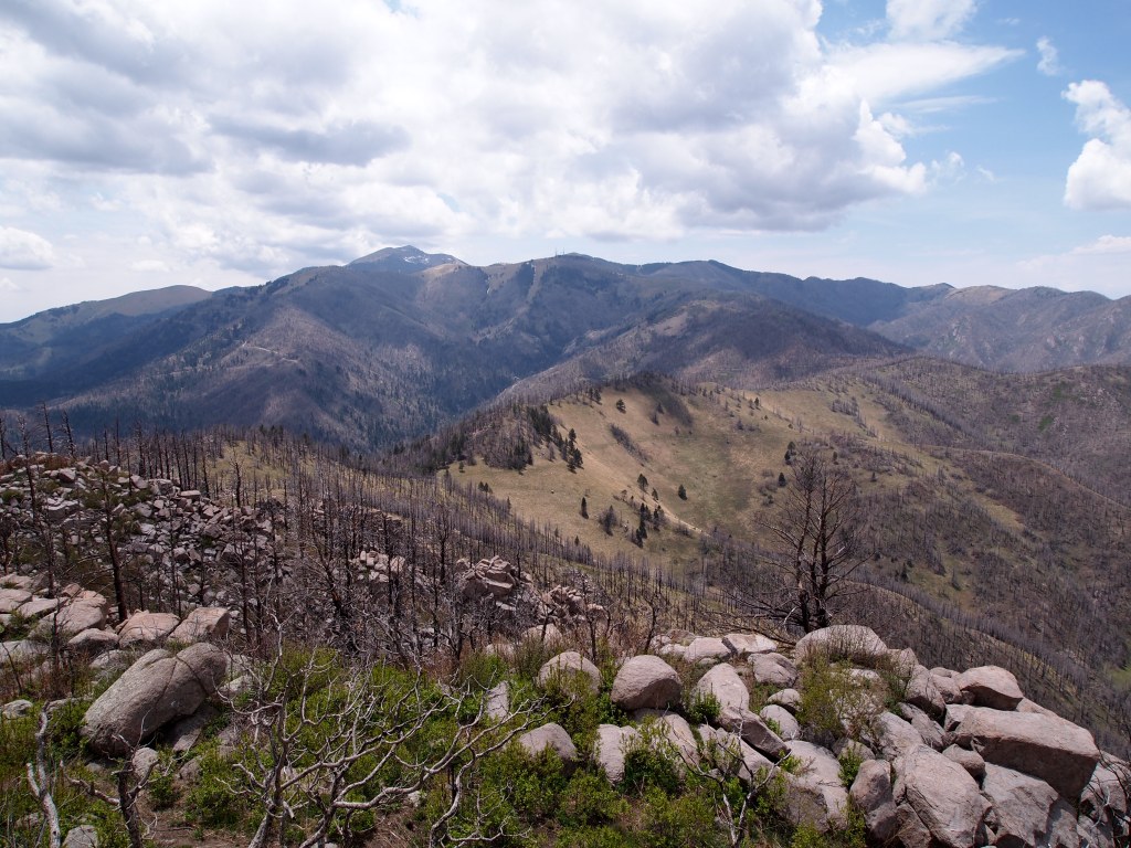 Views from the lookout