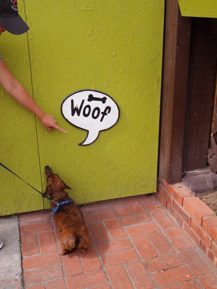 Truman does not pose well