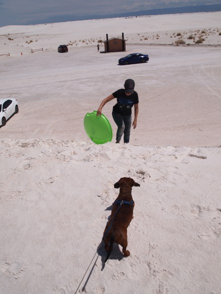 Truman waiting for me to climb back up