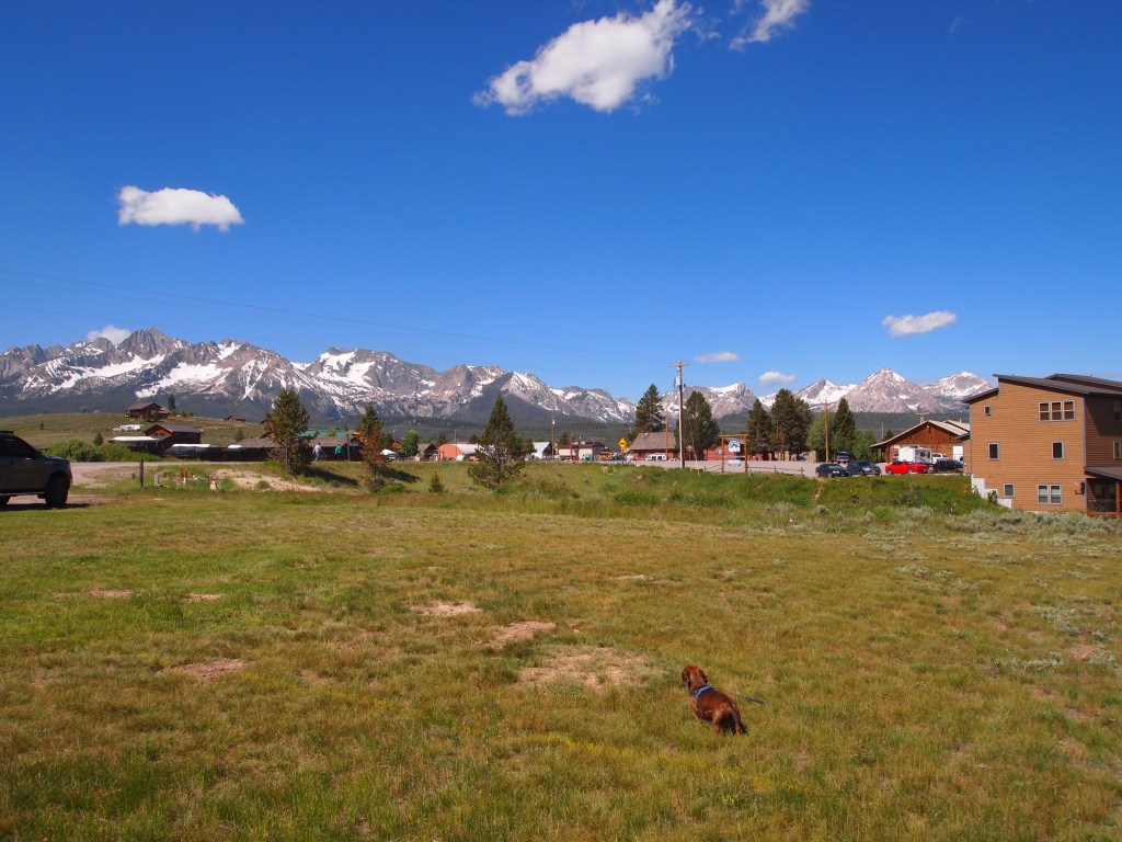 Hanging out in Stanley