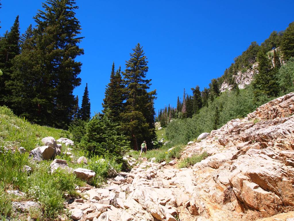 We did have to scramble up some rocky areas