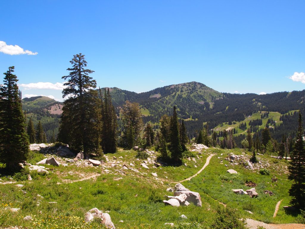 Taking another trail up and around Twin Lakes
