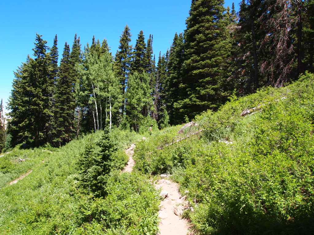 Hiking back to Silver Lake