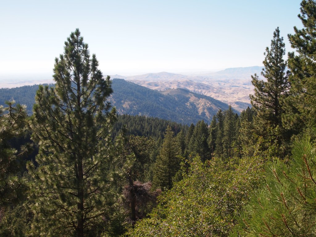 Views from our drive to Bogus Basin 