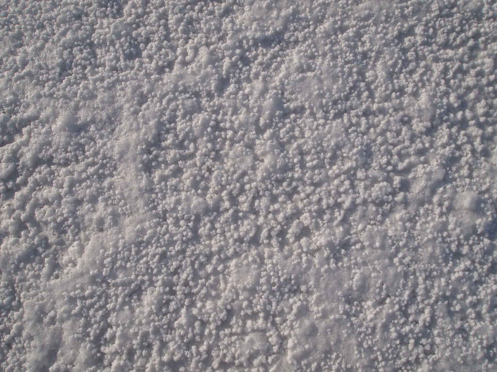 The surface of the flats 