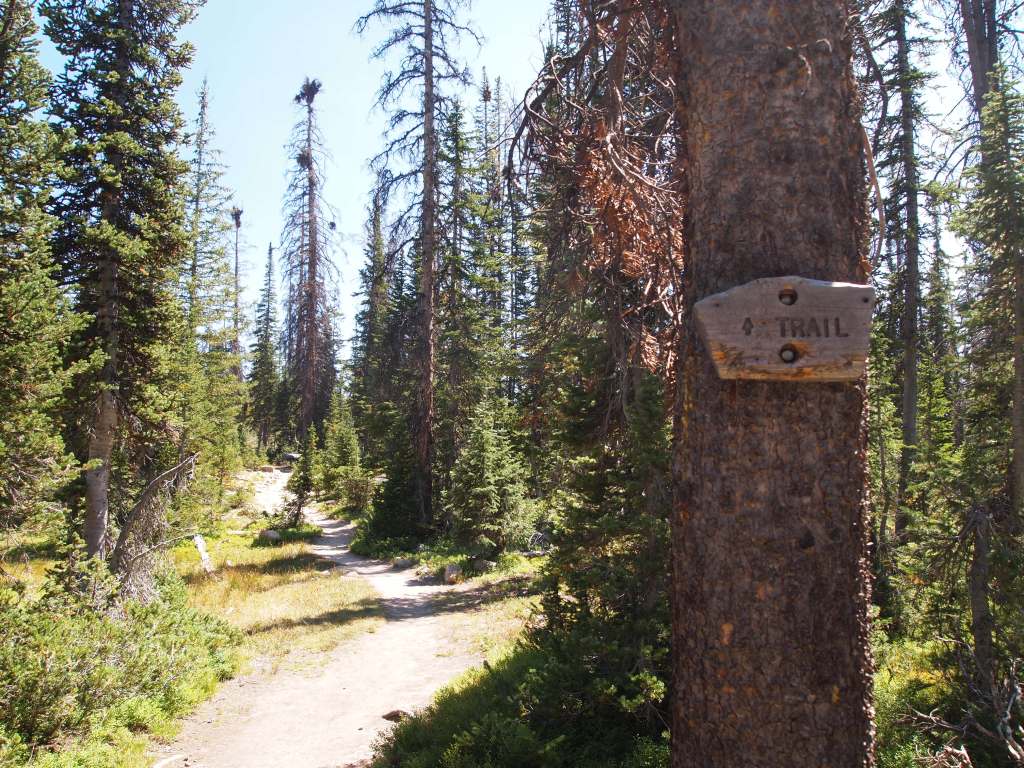 Follow the trail to ?