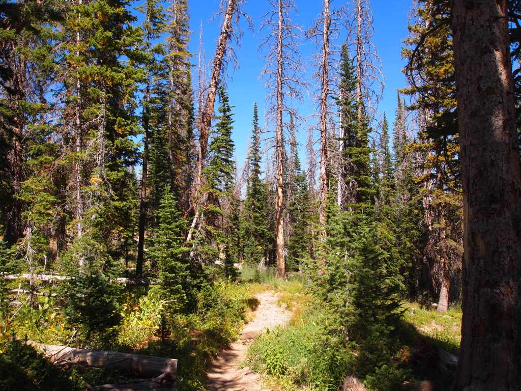 Winding down to Ibantik Lake