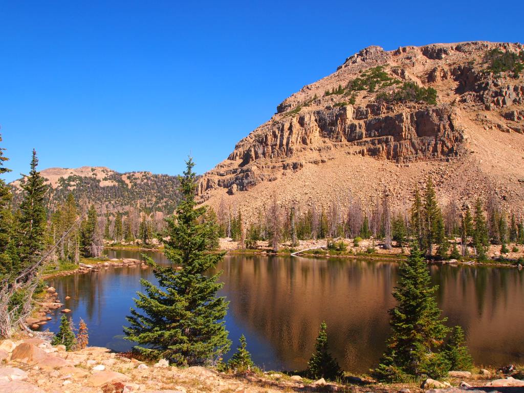 The sunlight was golden on our way back 