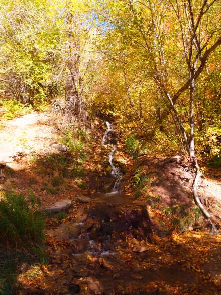 The stream as we began our hike 