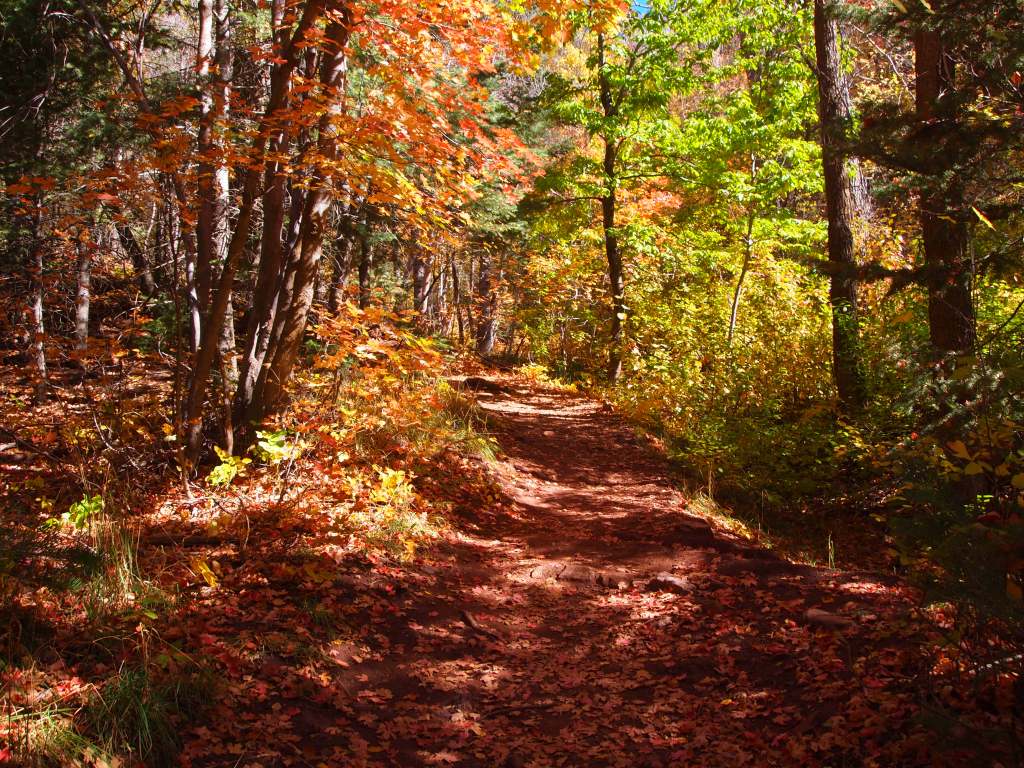 The first part of the trail, though steep at times, was shaded and magnificent