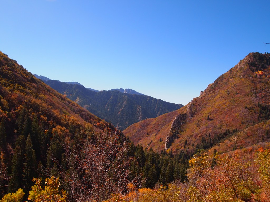 Above the tree line!