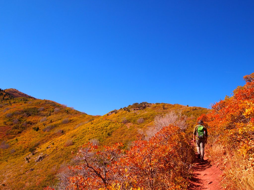 Almost to the saddle