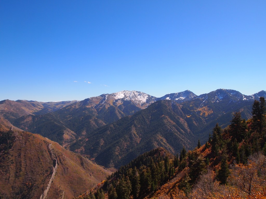 More of Mill Creek Canyon