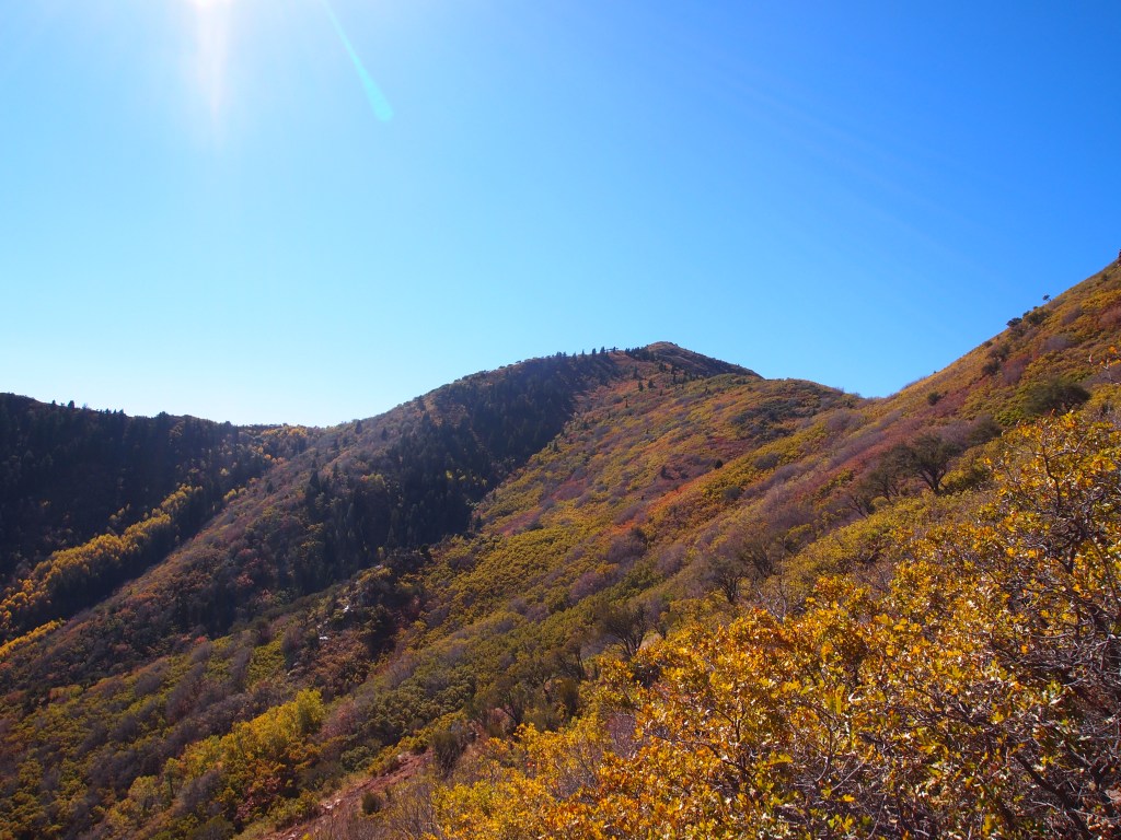 Looking back at Grandeur once more