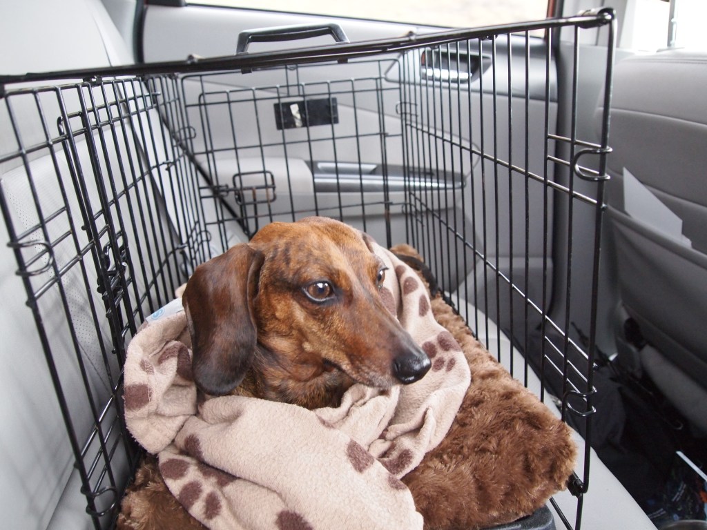 Road trippin' with a new perspective