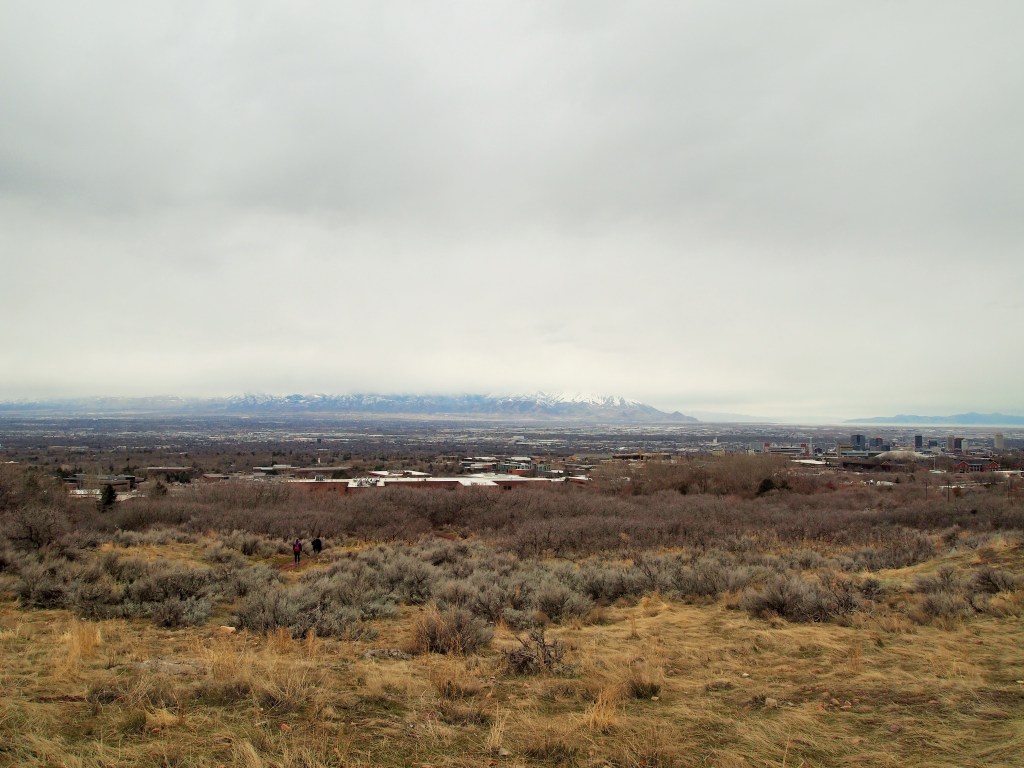 Already a decent view from the BST