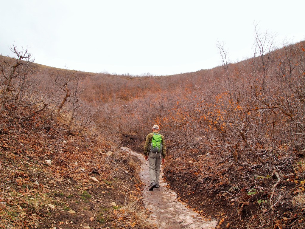 Zach navigating the frozen path