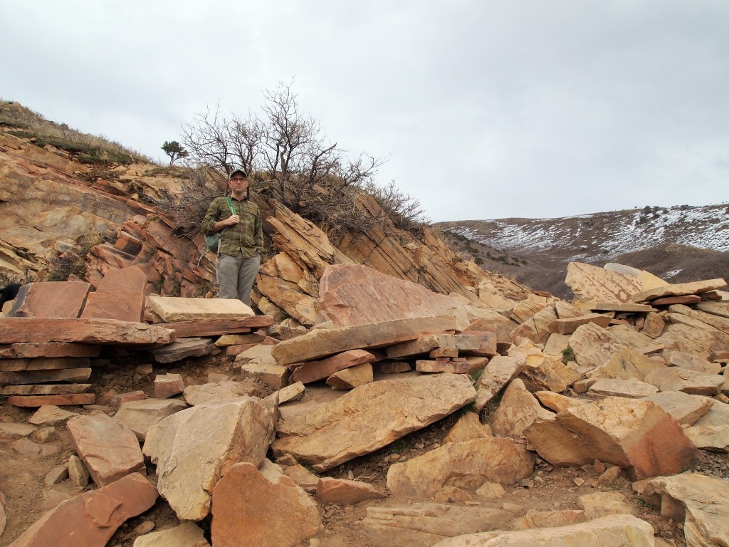 The living room "furniture"